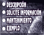 El periodico On-Line